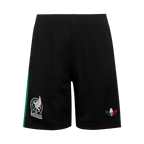 Mexico Herren Ausweichtrikot Fan Version 2-teilig 2026
