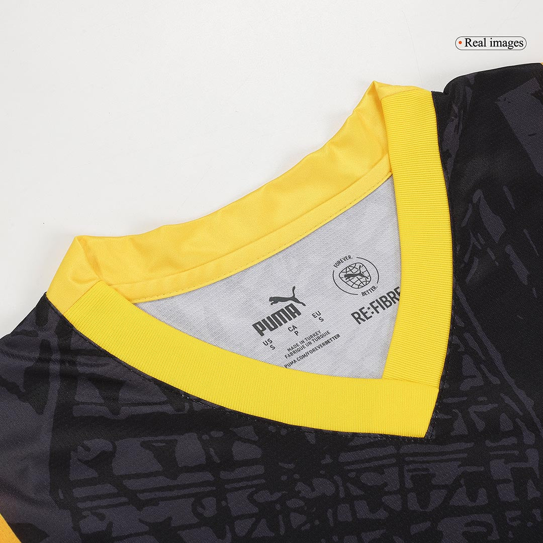 Dortmund 2023/24 Fan-Version