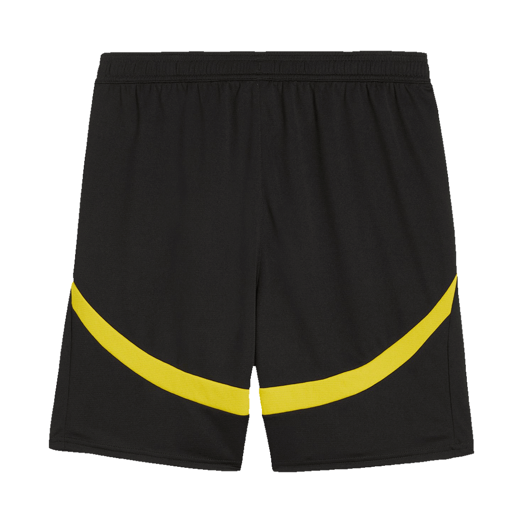 Dortmund Herren Heimtrikot Fan Version 2-teilig 2024/25