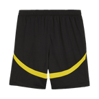 Dortmund Herren Heimtrikot Fan Version 2-teilig 2024/25