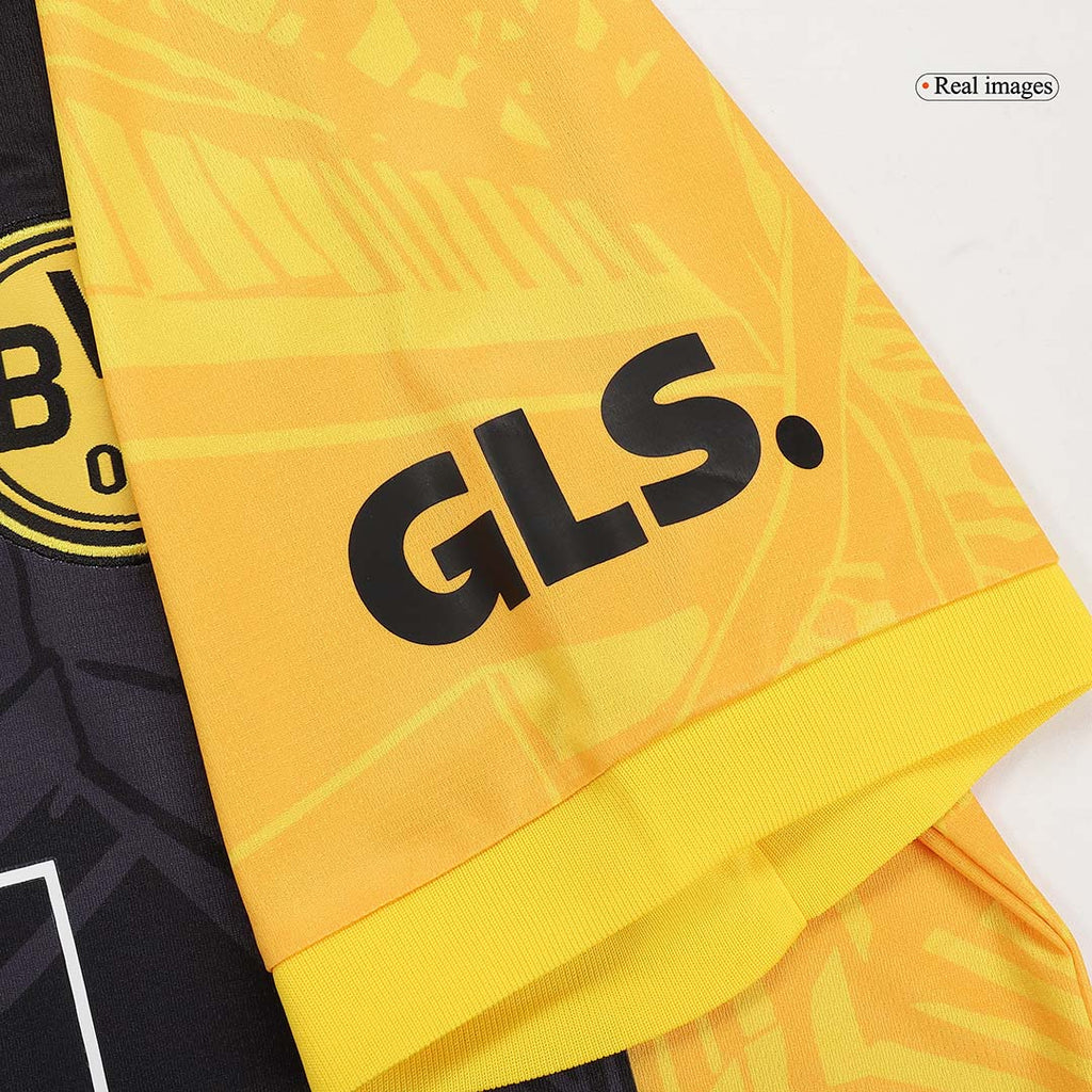 Dortmund 2023/24 Fan-Version