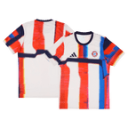 Bayern München Pre-Match 2025/26 Fan-Version