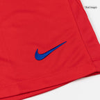 PSG Herren Ausweichtrikot Shorts 2025/26