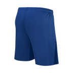 PSG Herren Viertes Trikot Shorts 2024/25