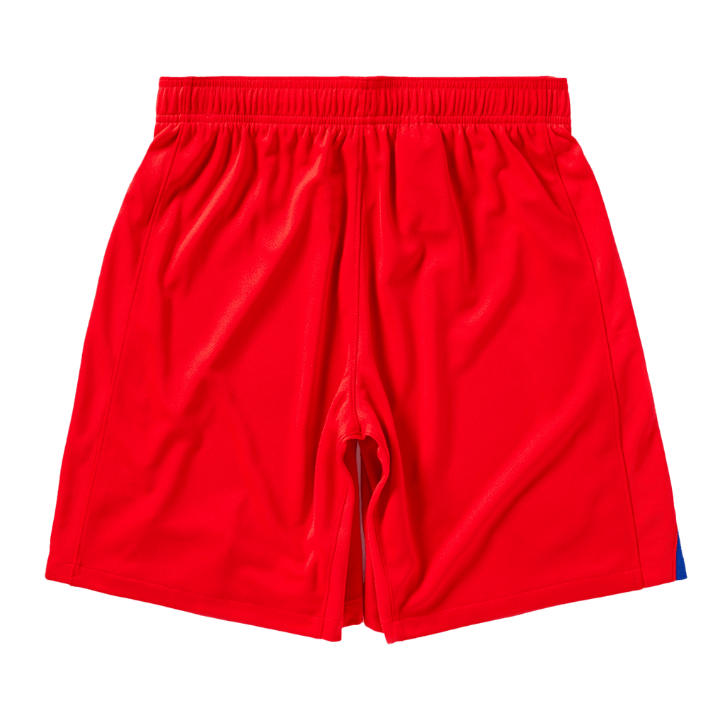 PSG Herren Ausweichtrikot Shorts 2025/26