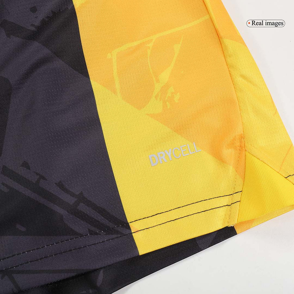 Dortmund 2023/24 Fan-Version