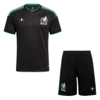 Mexico Herren Ausweichtrikot Fan Version 2-teilig 2026