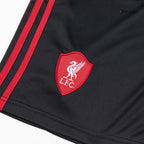 Liverpool Herren Auswärtstrikot Shorts 2025/26