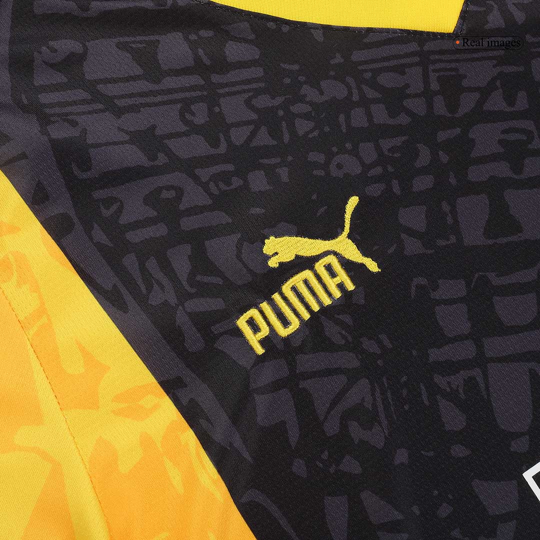 Dortmund 2023/24 Fan-Version