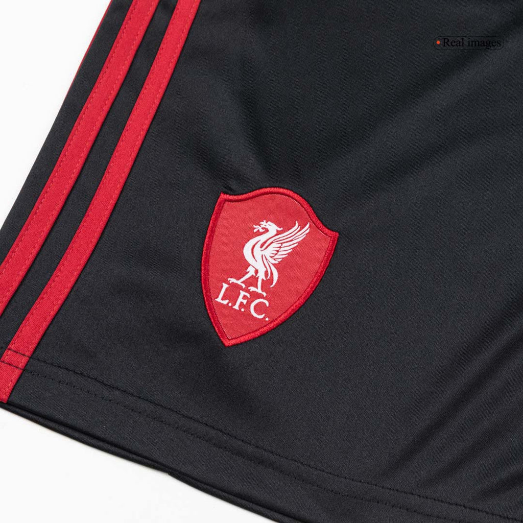 Liverpool Herren Auswärtstrikot Fan Version 2-teilig 2025/26