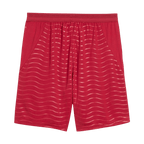 Portugal Herren Heimtrikot Shorts 2026